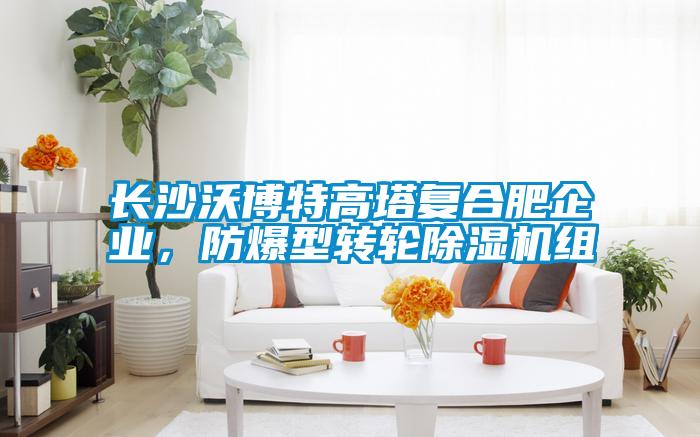 長沙沃博特高塔復合肥企業(yè)，防爆型轉(zhuǎn)輪除濕機組