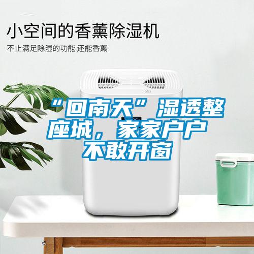 “回南天”濕透整座城,家家戶戶不敢開窗