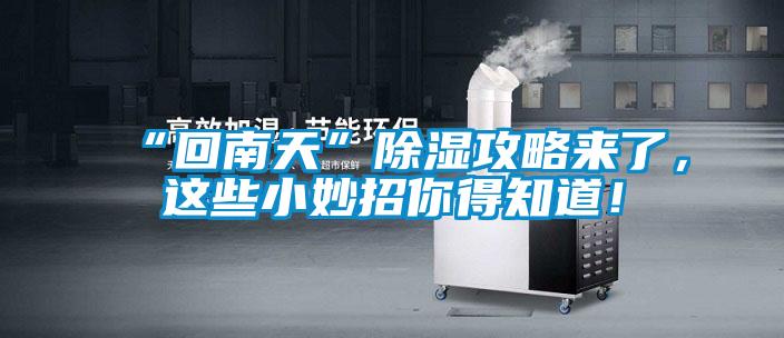 “回南天”除濕攻略來了，這些小妙招你得知道！