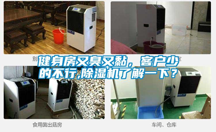 健身房又臭又黏，客戶少的不行,除濕機(jī)了解一下？