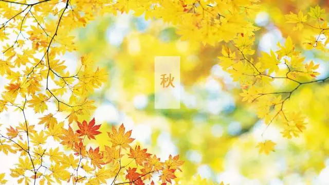 一定要除濕的10大領域 一定要除濕的10大領域