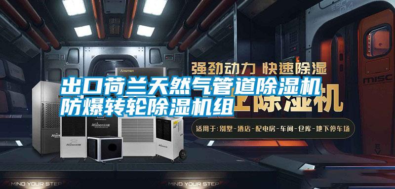 出口荷蘭天然氣管道除濕機 防爆轉輪除濕機組