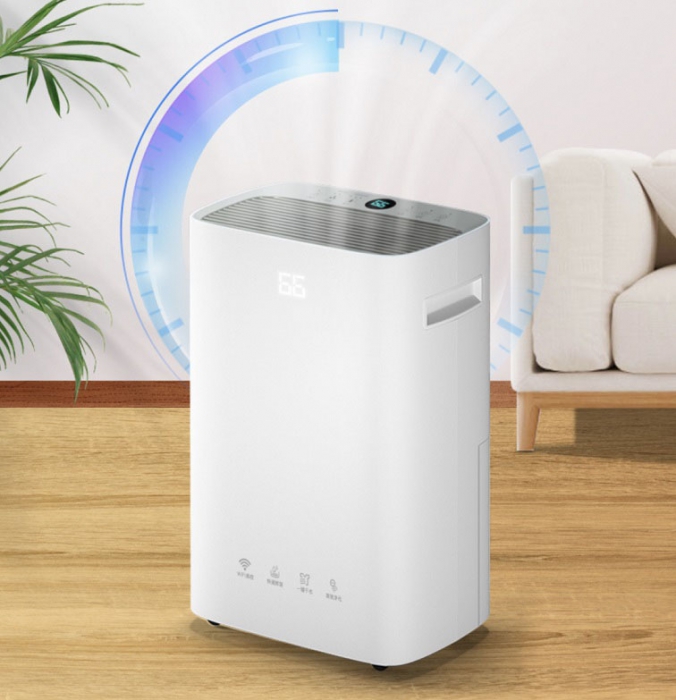 如何應對發霉，你準備好了嗎？