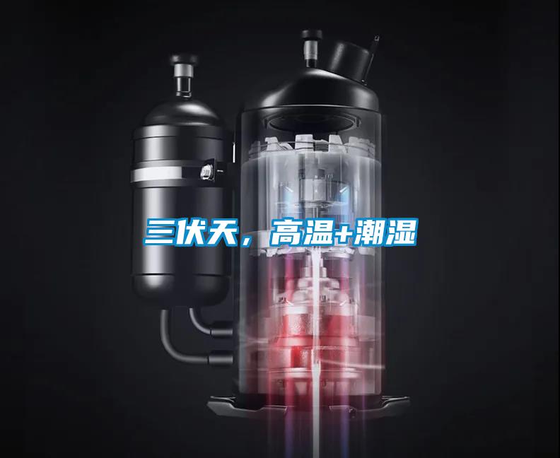 三伏天,高溫+潮濕