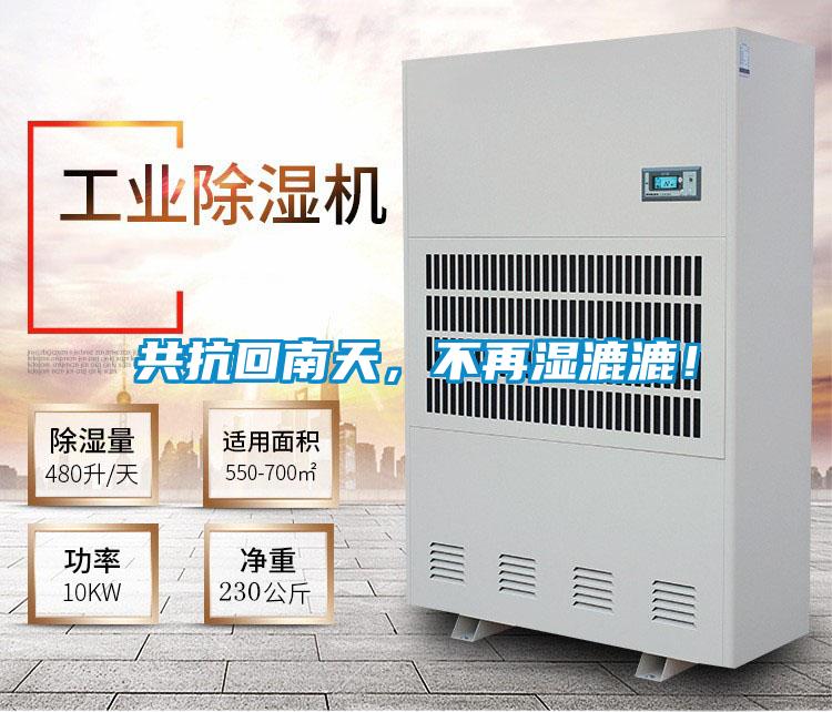 共抗回南天，不再濕漉漉！