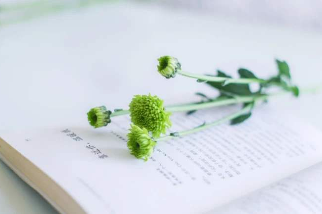 梅雨天不要讓身體和心情發(fā)霉 梅雨天不要讓身體和心情發(fā)霉