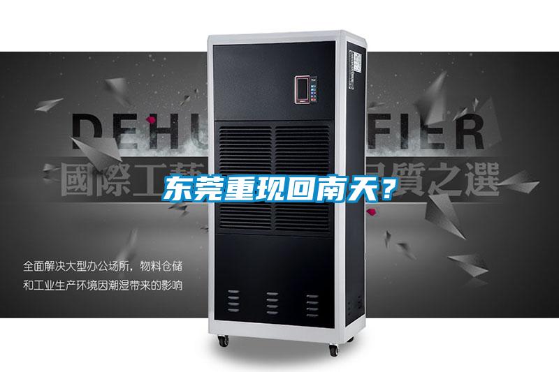 東莞重現(xiàn)回南天?