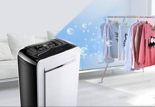 狗狗得了皮膚病,真兇竟是回南天?! 狗狗得了皮膚病,真兇竟是回南天?!