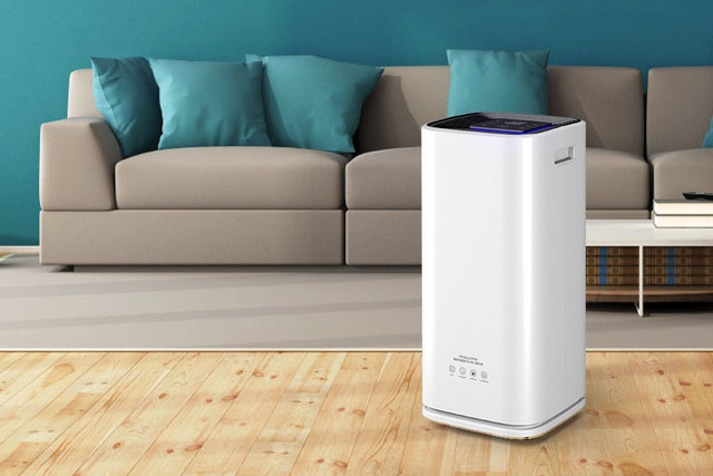 梅雨季節(jié)如何保持狗狗身體干燥? 梅雨季節(jié)如何保持狗狗身體干燥?