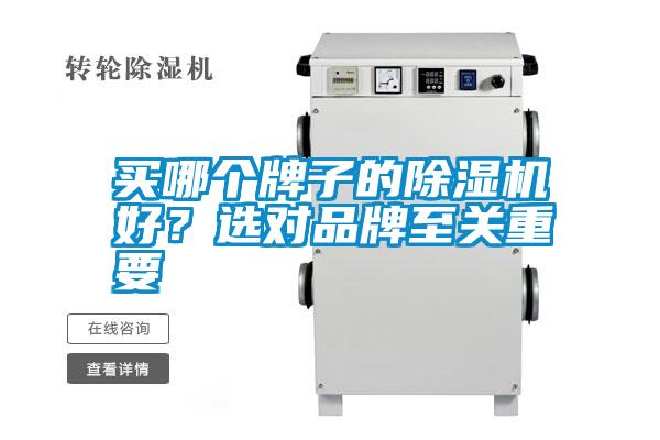 買哪個牌子的除濕機好?選對品牌至關(guān)重要