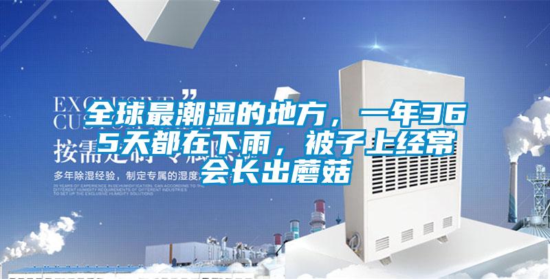 全球最潮濕的地方，一年365天都在下雨，被子上經常會長出蘑菇