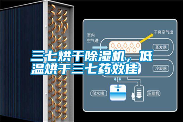 三七烘干除濕機(jī)，低溫烘干三七藥效佳