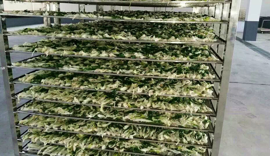 菜干需求一直都很大,蔬菜烘干機很有市場 菜干需求一直都很大,蔬菜烘干機很有市場