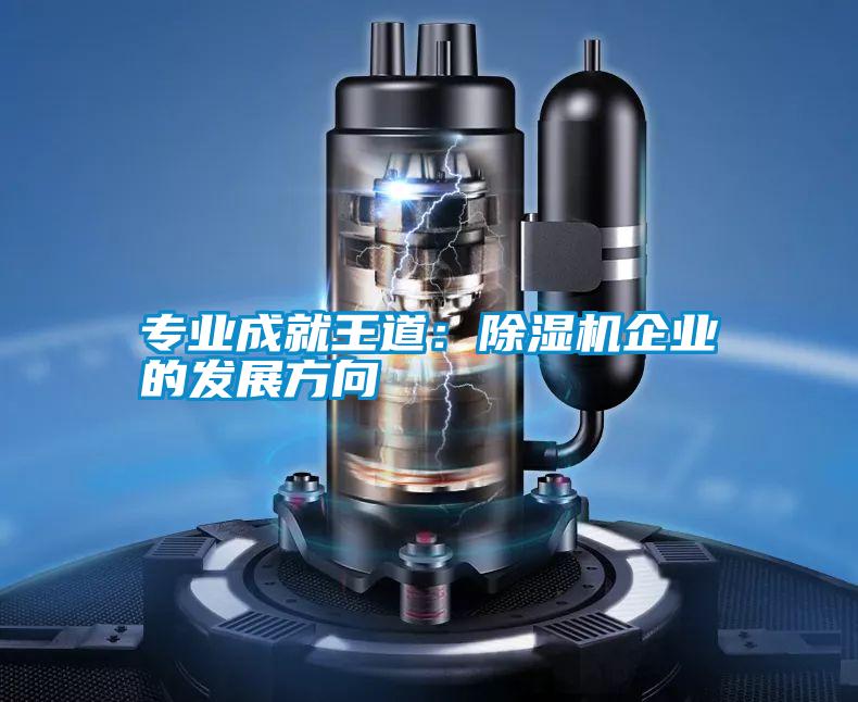 專業成就王道:除濕機企業的發展方向