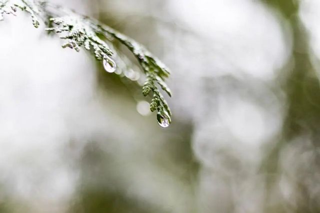 空氣濕度大帶來的危害有哪些,你知道嗎? 空氣濕度大帶來的危害有哪些,你知道嗎?