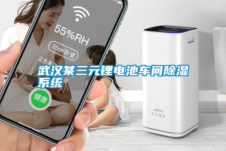 武漢某三元鋰電池車(chē)間除濕系統(tǒng)