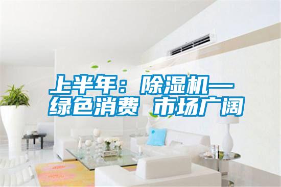 上半年:除濕機—綠色消費 市場廣闊