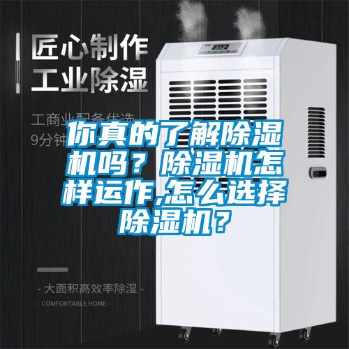 你真的了解除濕機嗎?除濕機怎樣運作,怎么選擇除濕機?