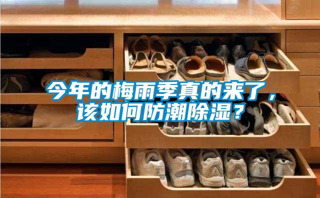 今年的梅雨季真的來了，該如何防潮除濕？