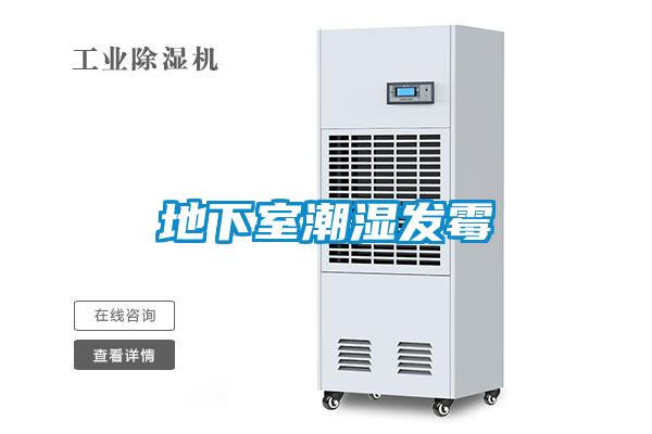 地下室潮濕發霉