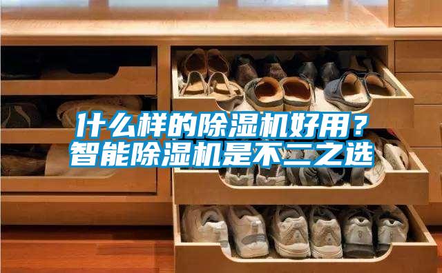 什么樣的除濕機好用?智能除濕機是不二之選