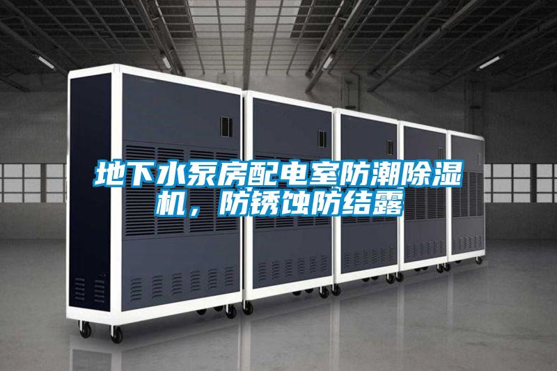 地下水泵房配電室防潮除濕機(jī),防銹蝕防結(jié)露