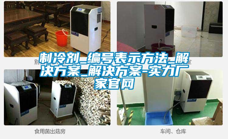 制冷劑_編號表示方法_解決方案_解決方案-實力廠家官網