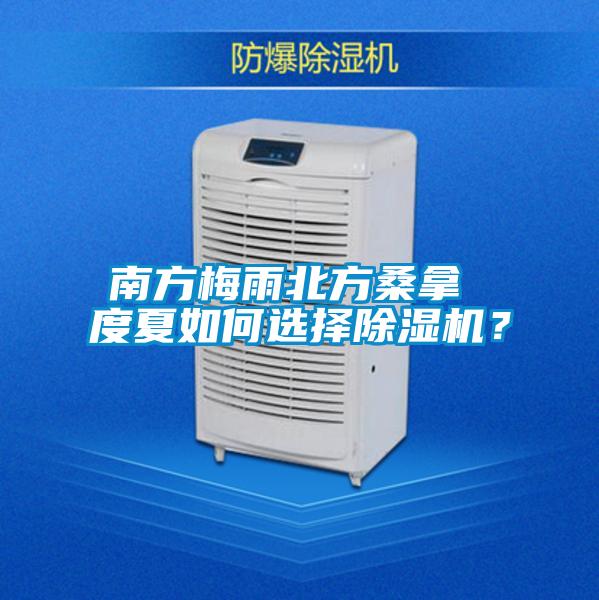 南方梅雨北方桑拿 度夏如何選擇除濕機?