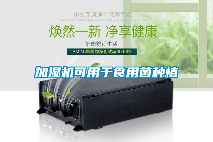 加濕機可用于食用菌種植
