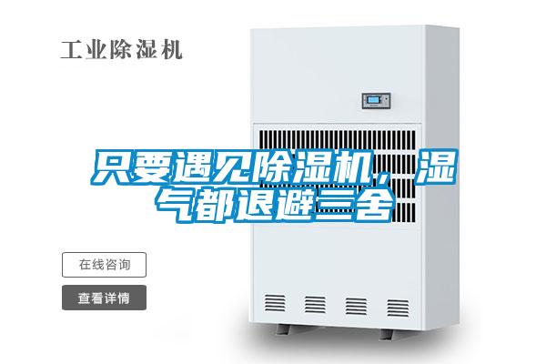 只要遇見除濕機,濕氣都退避三舍
