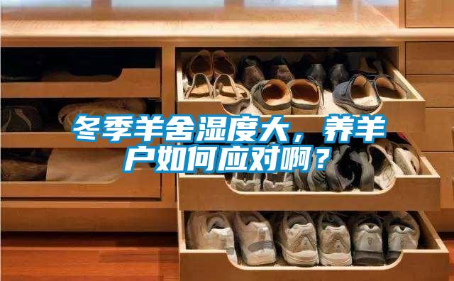 冬季羊舍濕度大,養羊戶如何應對啊?