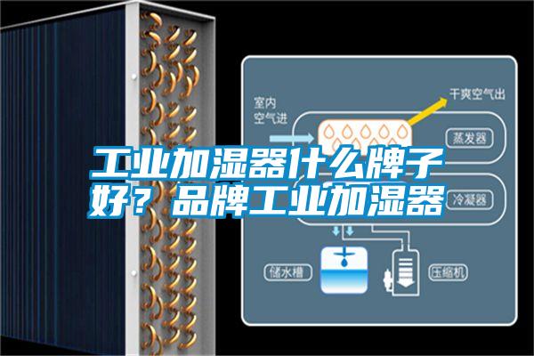 工業加濕器什么牌子好?品牌工業加濕器