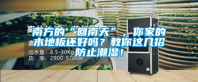 南方的“回南天”,你家的木地板還好嗎?教你這幾招防止潮濕!