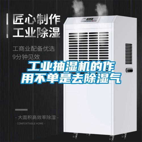 工業抽濕機的作用不單是去除濕氣