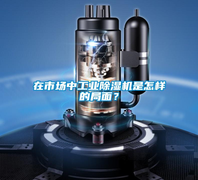 在市場中工業除濕機是怎樣的局面？