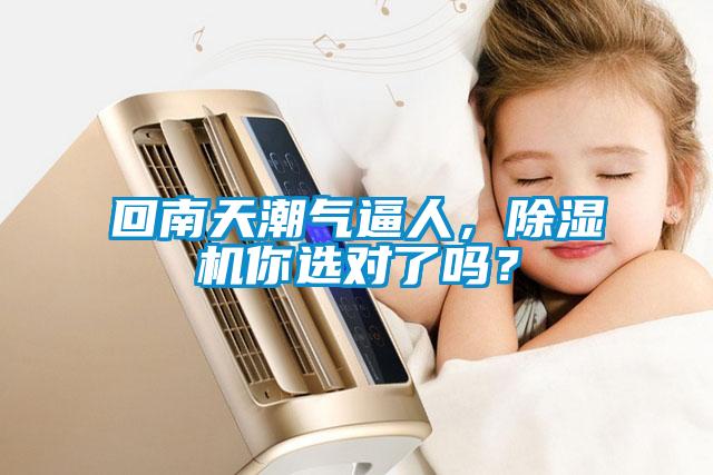 回南天潮氣逼人,除濕機你選對了嗎?