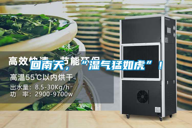 回南天,“濕氣猛如虎”!