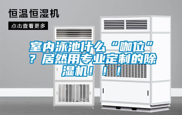 室內(nèi)泳池什么“咖位”？居然用專業(yè)定制的除濕機！！！