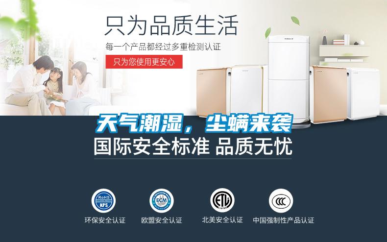 天氣潮濕,塵螨來襲