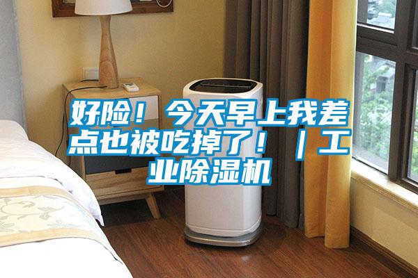 好險(xiǎn)!今天早上我差點(diǎn)也被吃掉了!|工業(yè)除濕機(jī)