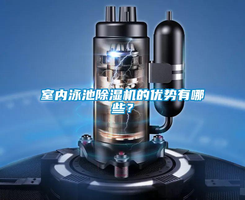 室內泳池除濕機的優勢有哪些？