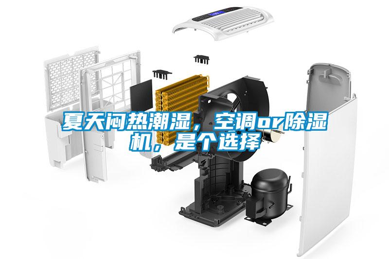 夏天悶熱潮濕,空調or除濕機,是個選擇