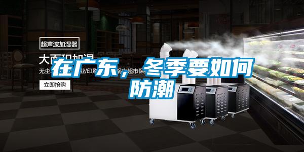 在廣東，冬季要如何防潮