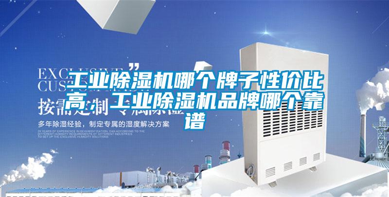 工業(yè)除濕機(jī)哪個(gè)牌子性價(jià)比高，工業(yè)除濕機(jī)品牌哪個(gè)靠譜