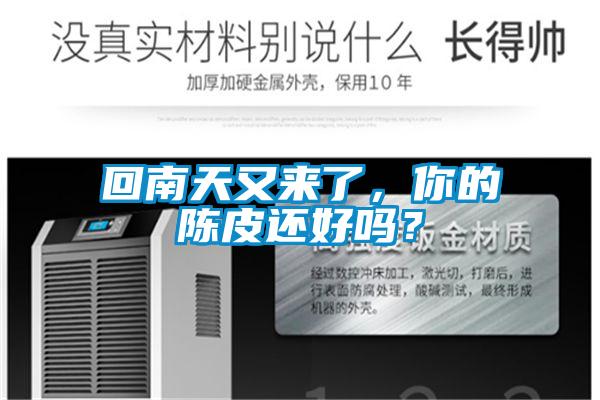 回南天又來(lái)了,你的陳皮還好嗎?