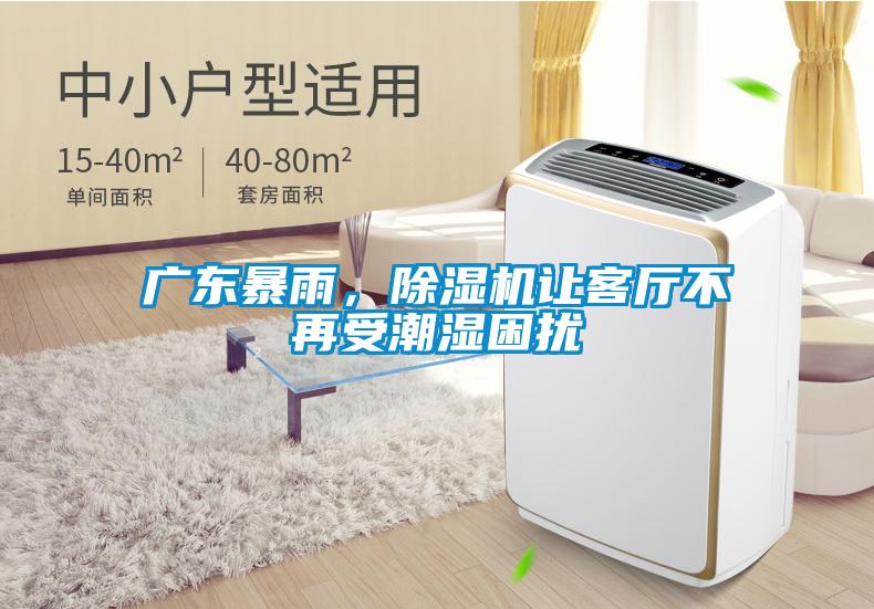 廣東暴雨，除濕機讓客廳不再受潮濕困擾