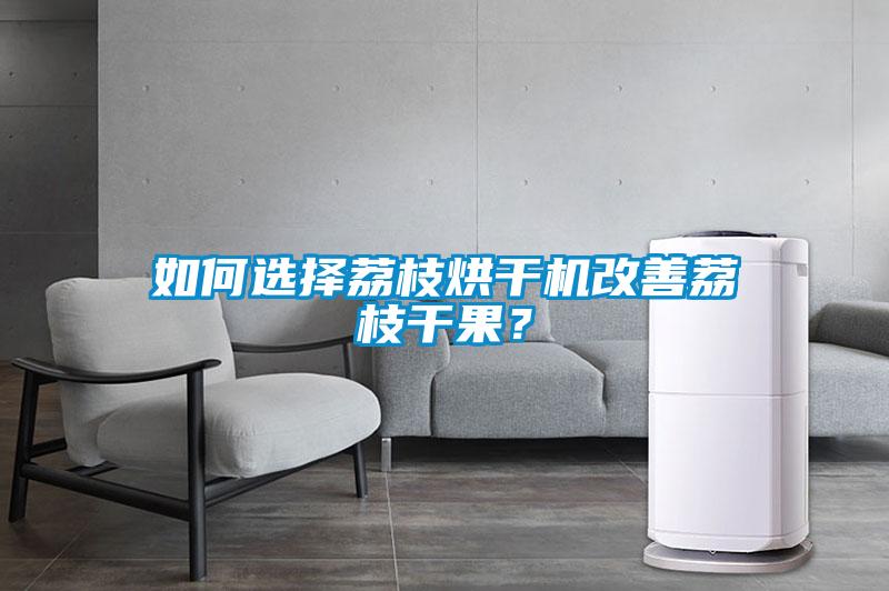 如何選擇荔枝烘干機改善荔枝干果?