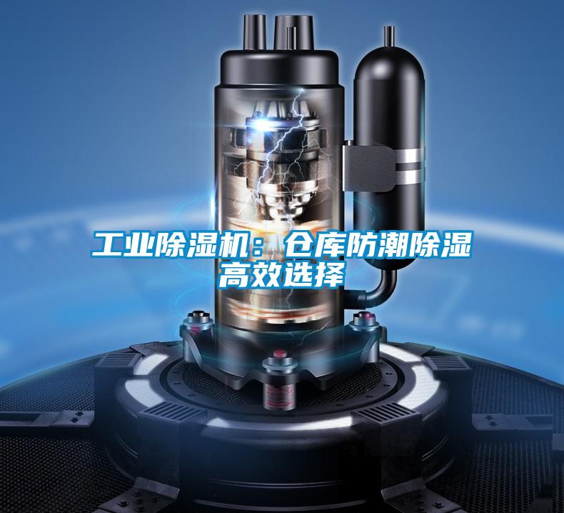 工業(yè)除濕機(jī):倉庫防潮除濕高效選擇