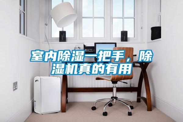 室內(nèi)除濕一把手,除濕機(jī)真的有用