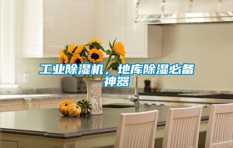 工業(yè)除濕機,地庫除濕必備神器